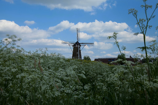 De Drie Waaien, Afferden - Thumbnail