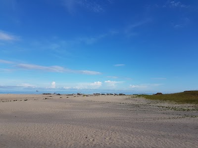 Photos of Le Renala