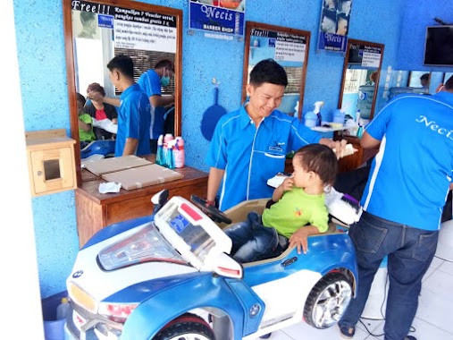 Necis Barber Shop, Author: Mathew Steve