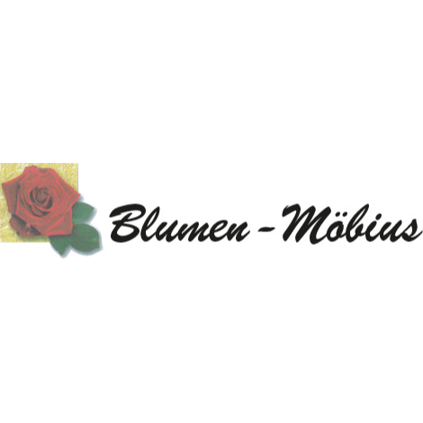 Blumen Möbius - Visual