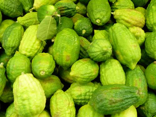 Sarker Foods সরকার ফুডস