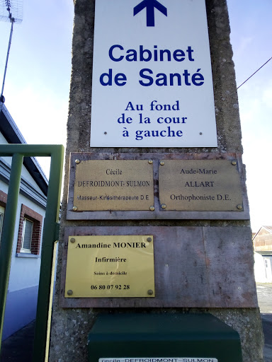 AUDE GOVART