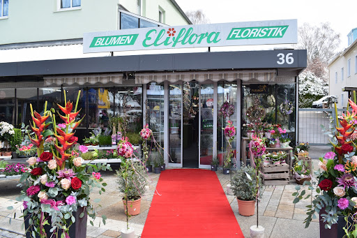 Eliflora Flower & Gardening GmbH