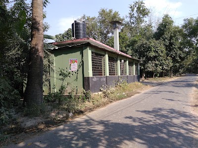 Photos of কাপাসিয়াপাড়া জামে মসজিদ