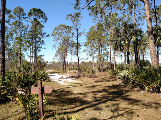 Saint Sebastian River Preserve State Park - Thumbnail