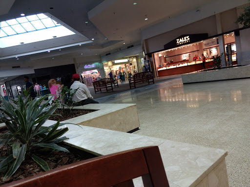 Dalton Mall - Visual
