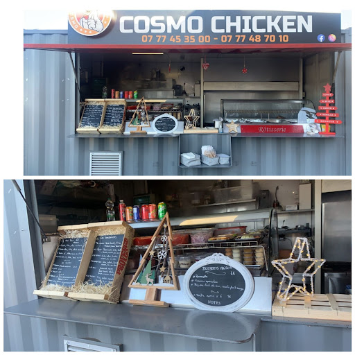Photo 5 - Cosmo-Chicken