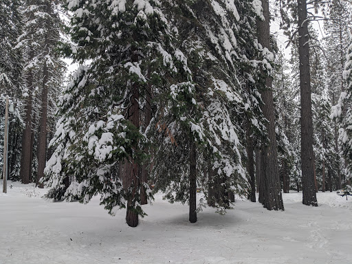 White Cloud Campground - Visual