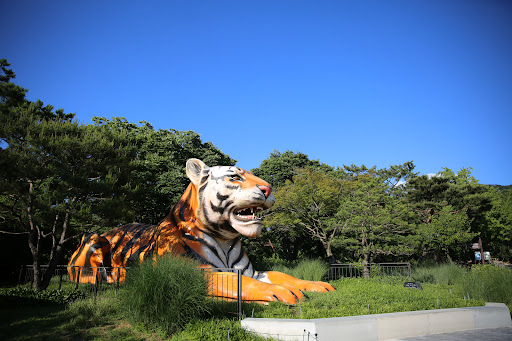Seoul Zoo - Thumbnail