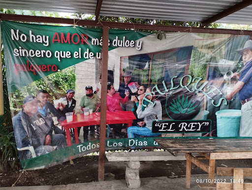 Pulques "El Rey"