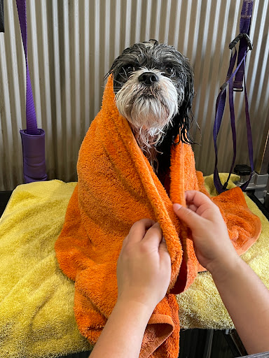 WAGS wash & groom service - Thumbnail