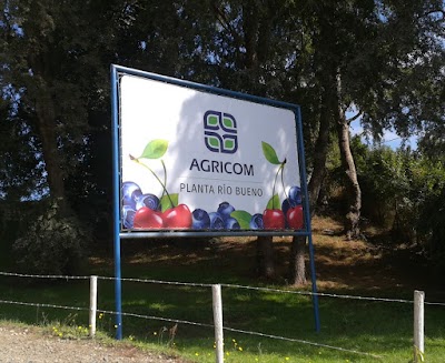 Photos of Agr&iacute;cola Berries R&iacute;o Bueno S.A.