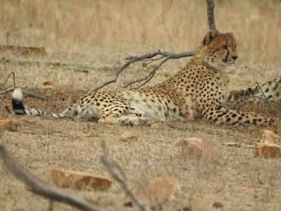 Photos of Kutchire Lodge