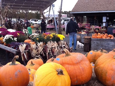 Photos of Averill Farm