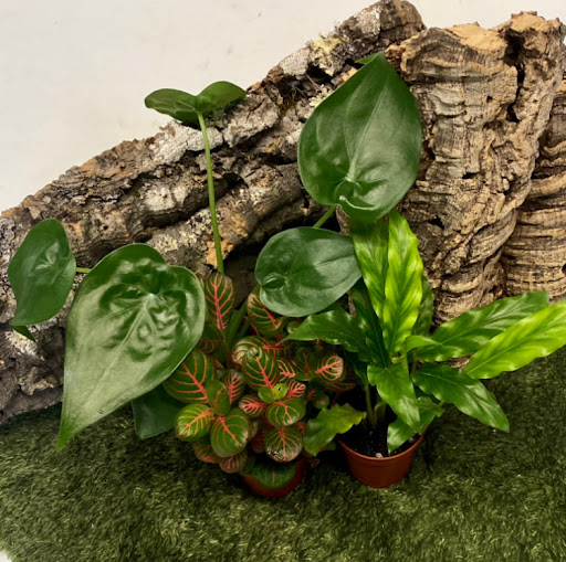 EntoScapes - Visual