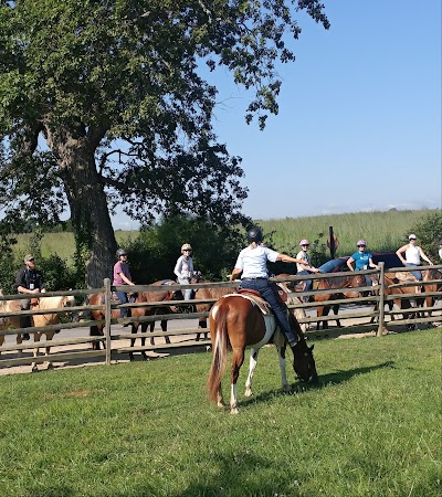 Confederate Trails of Gettysburg Guided Horseback Tours