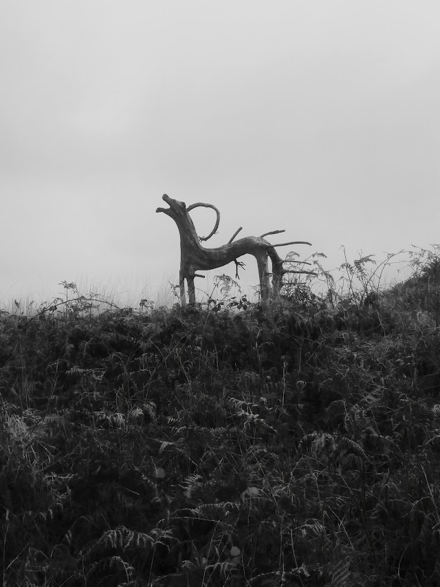 Monts d'Arrée