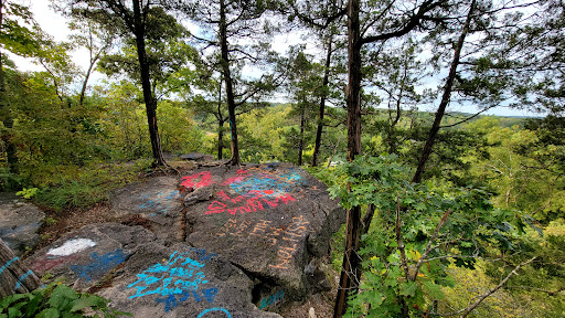 Clearview Park - Visual