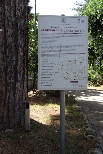 Municipal park - Botanical garden "Umberto I" - Thumbnail