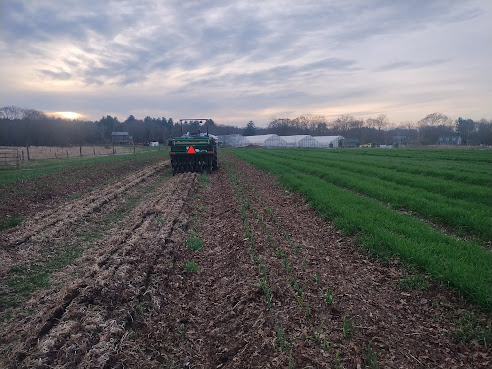 Freedom Food Farm by null