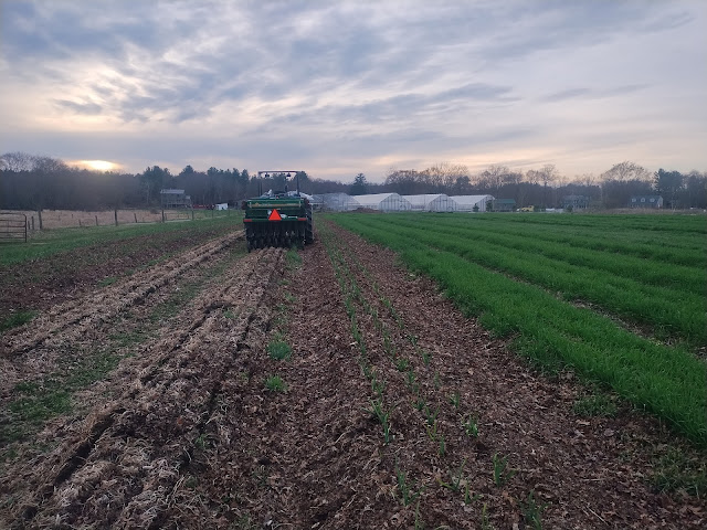 Freedom Food Farm by null