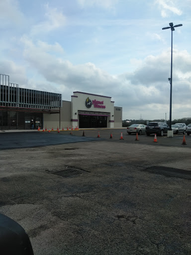 Leopard Plaza - Visual