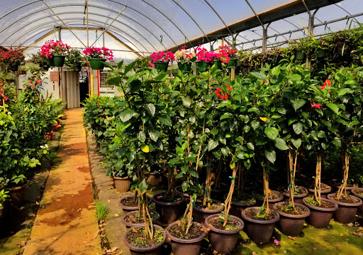 Alkatraz Plant Farm - Thumbnail