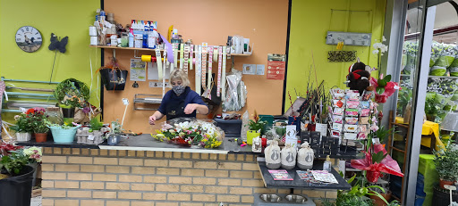 Market Eperlecques - Thumbnail