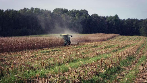 Insurance of the Carolinas - Farm & Agribusiness