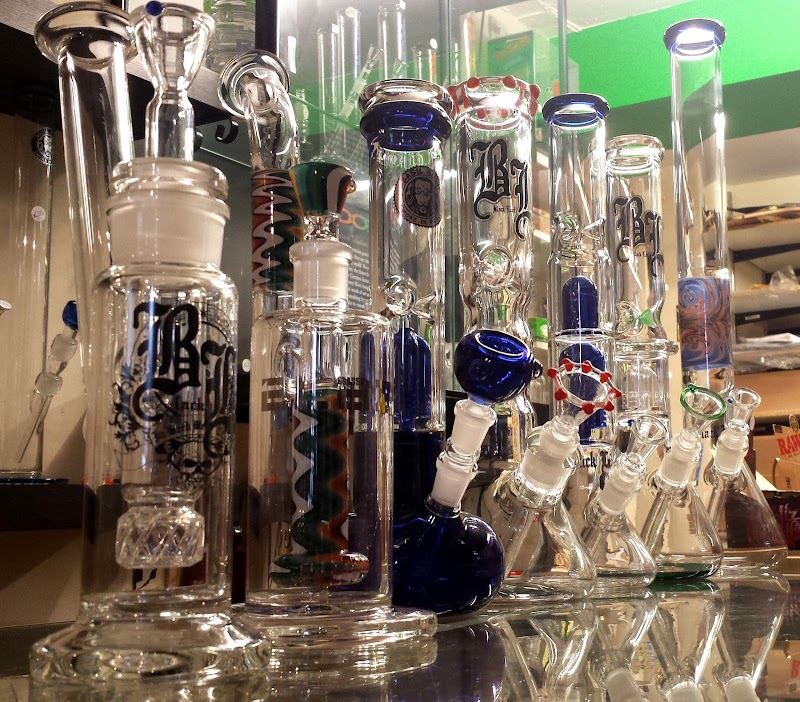 Natural Selection photo 2