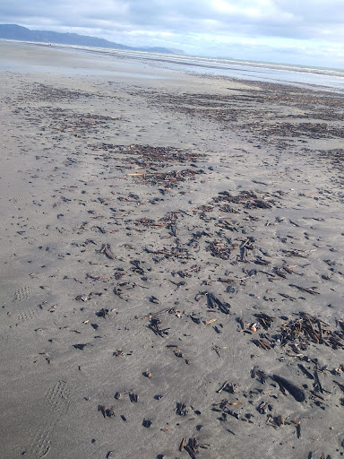Paraparaumu Domain