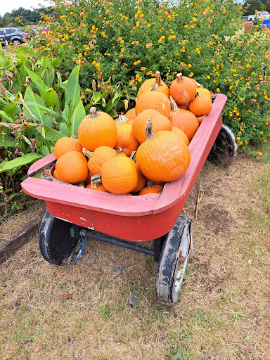 Hodges Family Farm & Pumpkin Patch - main location