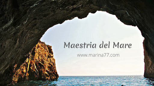 Marina 77 - Visual