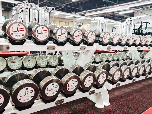 Ultimate Performance Personal Trainers Los Angeles, West Hollywood - Thumbnail