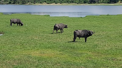 Photos of Kalahari Tours