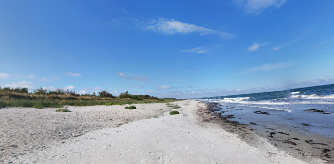 Bøtøskoven