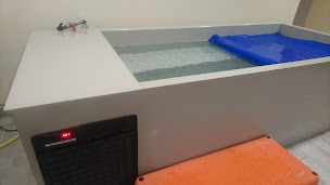 Photo n°5 de MDS Paradis à Marseille (Chirurgien pédiatrique)