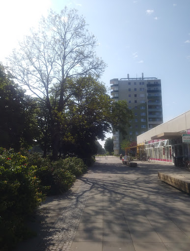 Schwedt, Lindenallee - Thumbnail