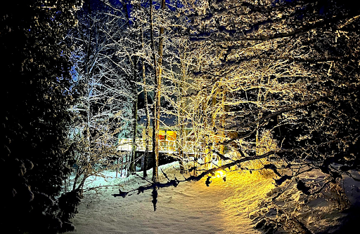 Hauser's Bayfield Cabin - Thumbnail