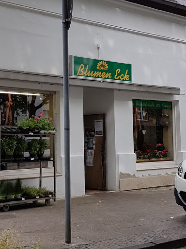 Blumenvertriebs GmbH Kolmans Logo