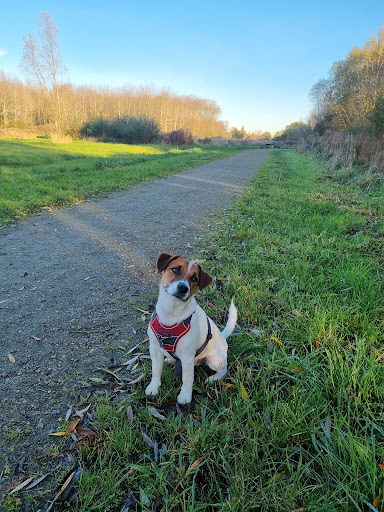 Parkeerplaats Natuur- en recreatiegebied Nieuw Wulven. - Thumbnail