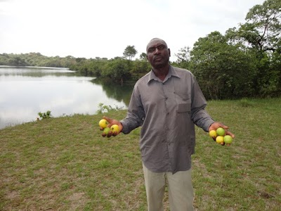 Photos of Lac Mballang