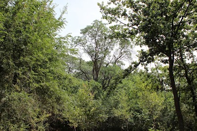 Photos of Nurkhalil