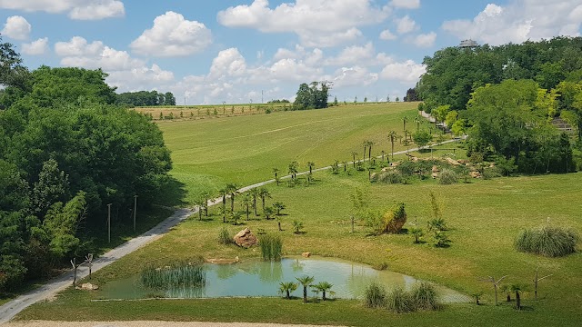 Zoo De Beauval