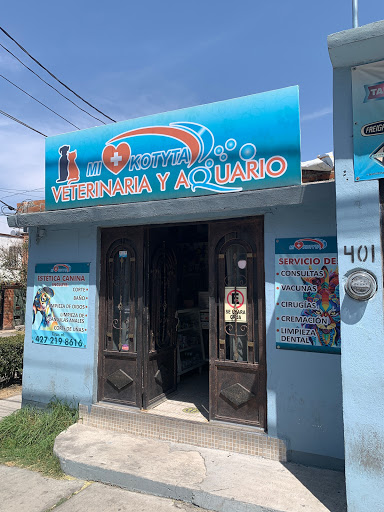 Veterinary Care Mi +Kotyta