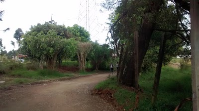 Photos of Puente Mej&iacute;a