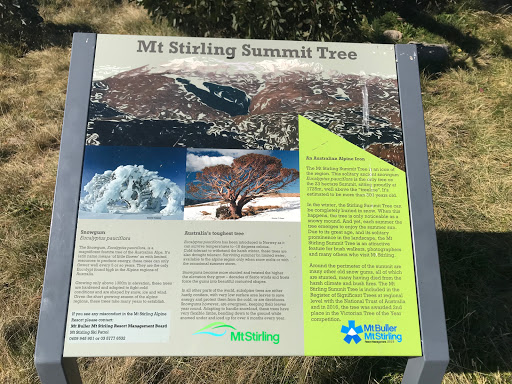Mount Stirling - Visual