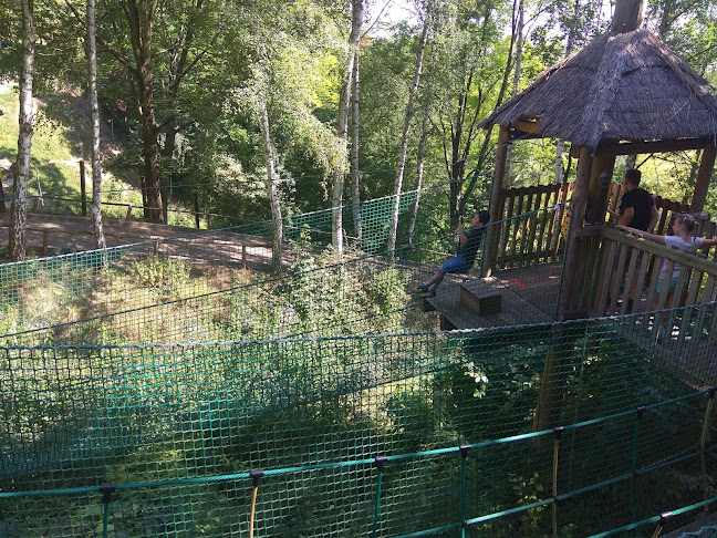 Komentarze i opinie o MIEJSKI OGRÓD ZOOLOGICZNY W PŁOCKU Sp. z o.o.