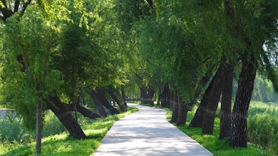 Photos of 藻鉴堂