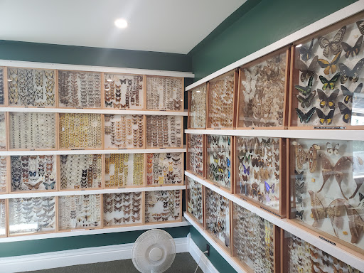 The Hillcrest Museum - Thumbnail